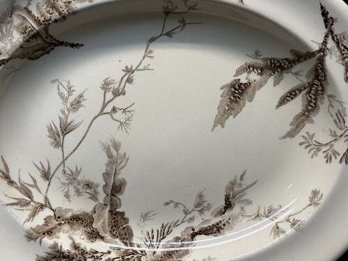 Super Brown Transferware Bacon Platter ~ SEAWEED 1883