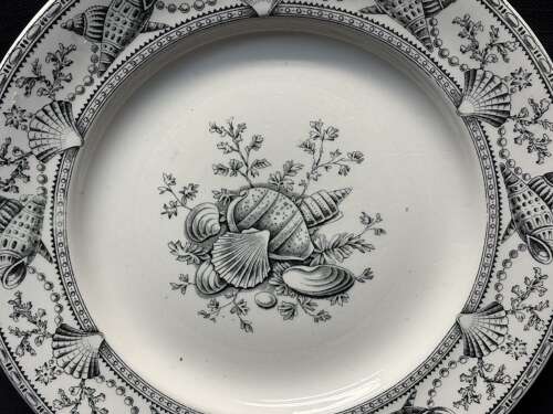 AESTHETIC TRANSFERWARE PLATE ~ SEAWEED SEASHELLS 1876