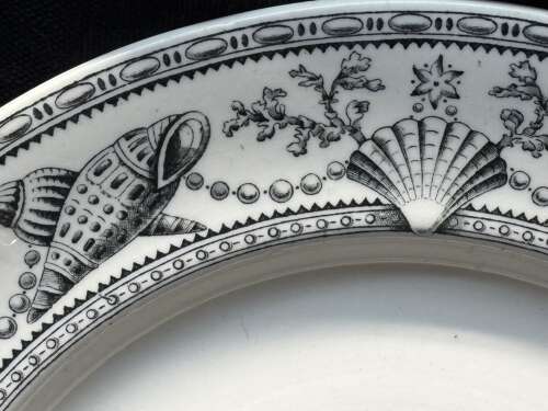 AESTHETIC TRANSFERWARE PLATE ~ SEAWEED SEASHELLS 1876