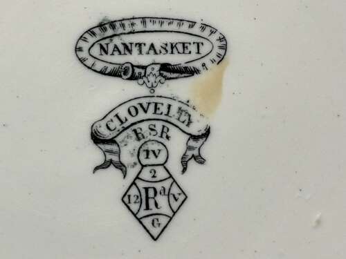 AESTHETIC TRANSFERWARE PLATE ~ SEAWEED SEASHELLS 1876
